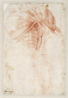 A 042 verso
<br/>
Schouderstudie
<br/>
<em>Michelangelo Buonarroti (1475-1564)</em>